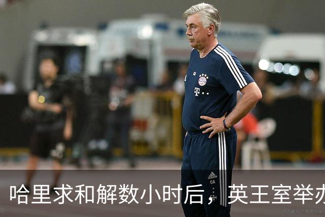 哈里求和解数小时后，英王室举办盛大国宴，凯特戴王冠光彩夺目